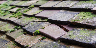 Anerley roof repair costs
